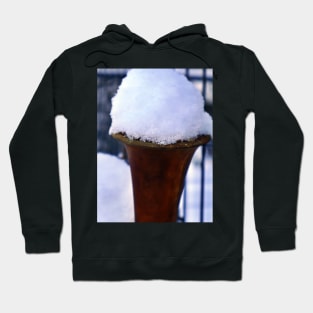 Snowy Clarinet Bell - A Wintery Day in a Northern Canadian Forest - Gift for a Clarinetist Hoodie
